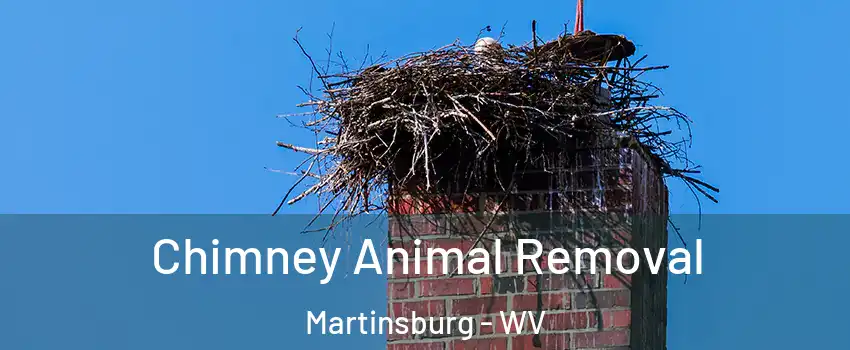  Chimney Animal Removal Martinsburg - WV