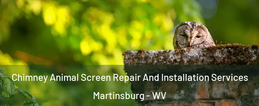 Chimney Animal Screen Repair And Installation Services Martinsburg - WV
