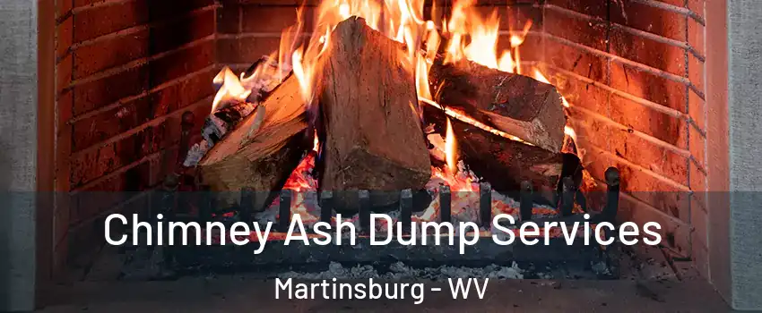  Chimney Ash Dump Services Martinsburg - WV
