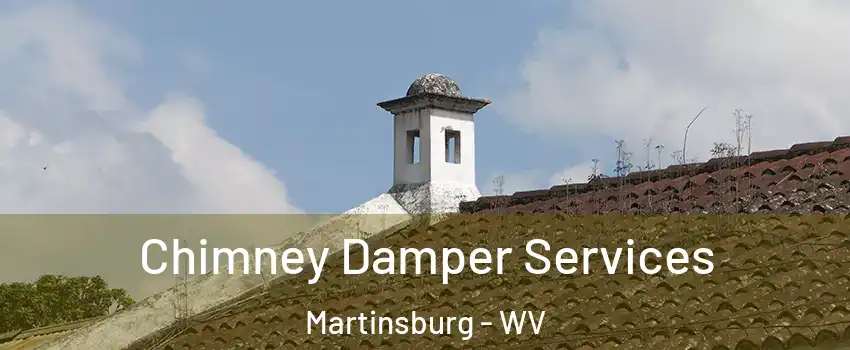  Chimney Damper Services Martinsburg - WV