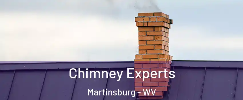  Chimney Experts Martinsburg - WV