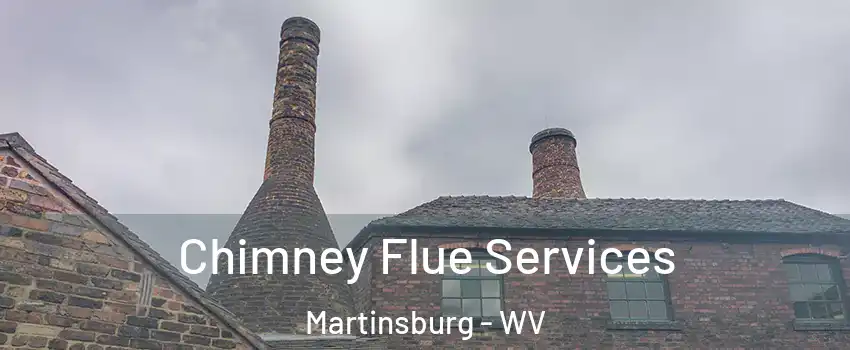  Chimney Flue Services Martinsburg - WV