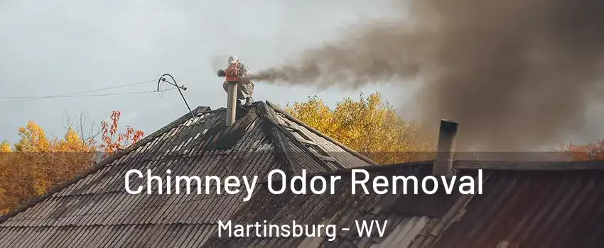 Chimney Odor Removal Martinsburg - WV