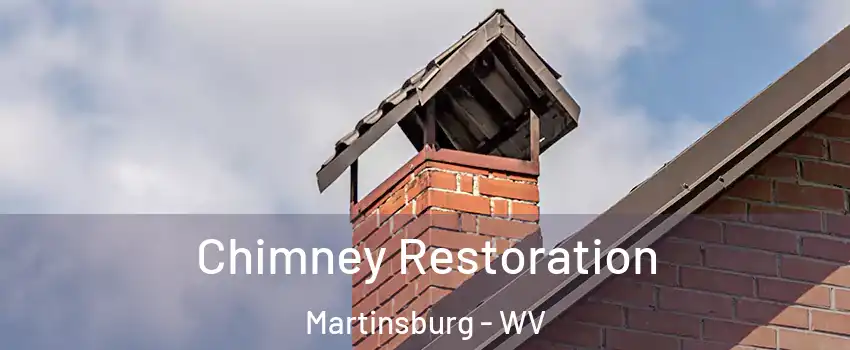 Chimney Restoration Martinsburg - WV