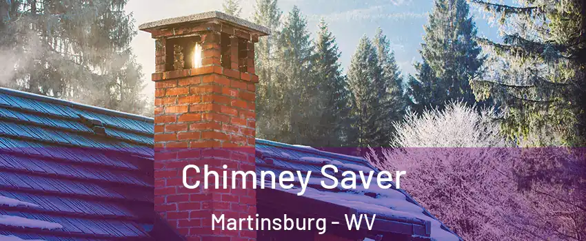  Chimney Saver Martinsburg - WV
