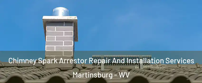  Chimney Spark Arrestor Repair And Installation Services Martinsburg - WV
