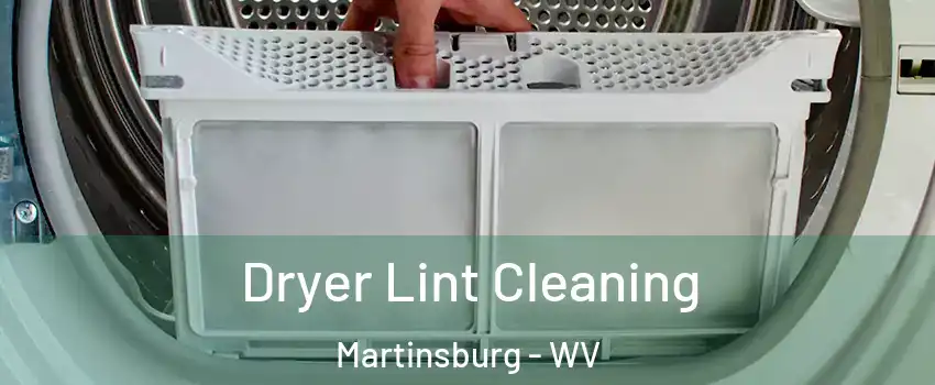  Dryer Lint Cleaning Martinsburg - WV