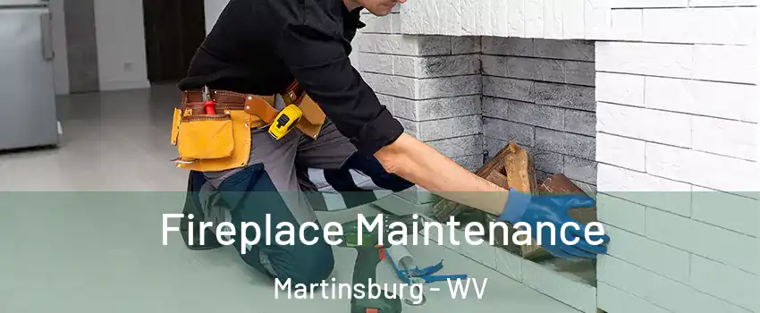  Fireplace Maintenance Martinsburg - WV