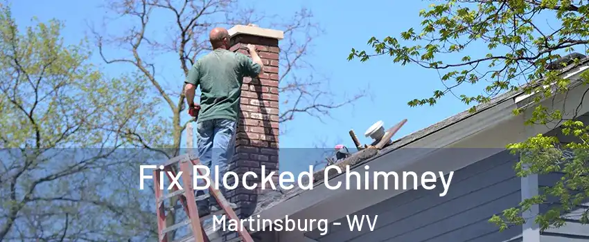  Fix Blocked Chimney Martinsburg - WV