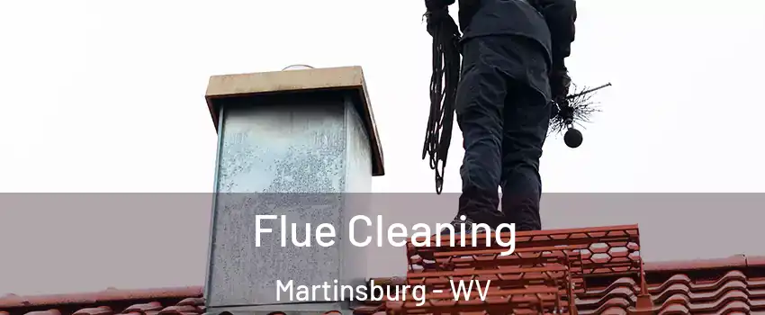  Flue Cleaning Martinsburg - WV