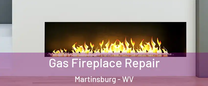  Gas Fireplace Repair Martinsburg - WV