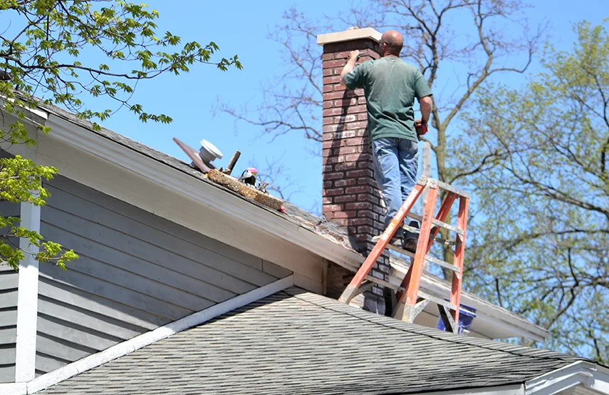 Chimney & Fireplace Inspections Services in Martinsburg, WV