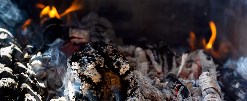 Creosote Removal Experts in Martinsburg, WV