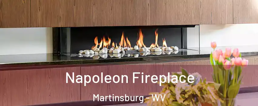  Napoleon Fireplace Martinsburg - WV