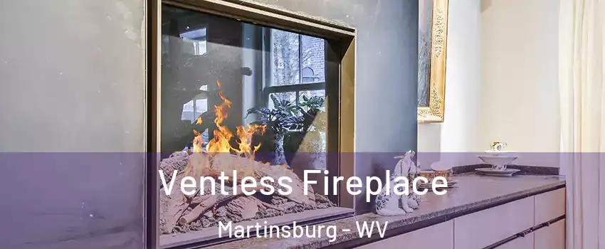  Ventless Fireplace Martinsburg - WV